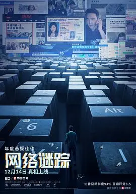 网络谜踪 海报