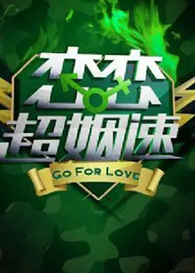 恋恋超姻速 海报