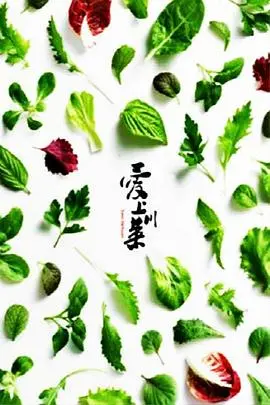 《爱上川菜》：舌尖上的麻辣爱情，一道道菜品串联起的情感故事，看完饿了！