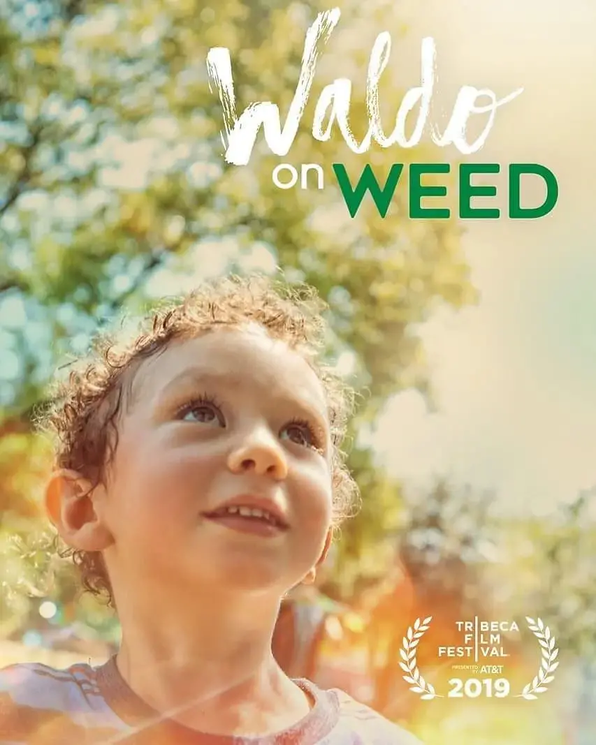 《沃尔多吸大麻》：废柴侦探的爆笑逆袭！当潦倒漫画家变成瘾君子私家侦探，这剧情绝了！