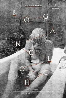 《林中空地》：人性深渊的惊悚独白，一场关于救赎与审判的黑暗游戏